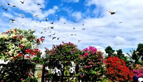 Begin your study visa-prepared day with Vietnam’s tranquil ambiance